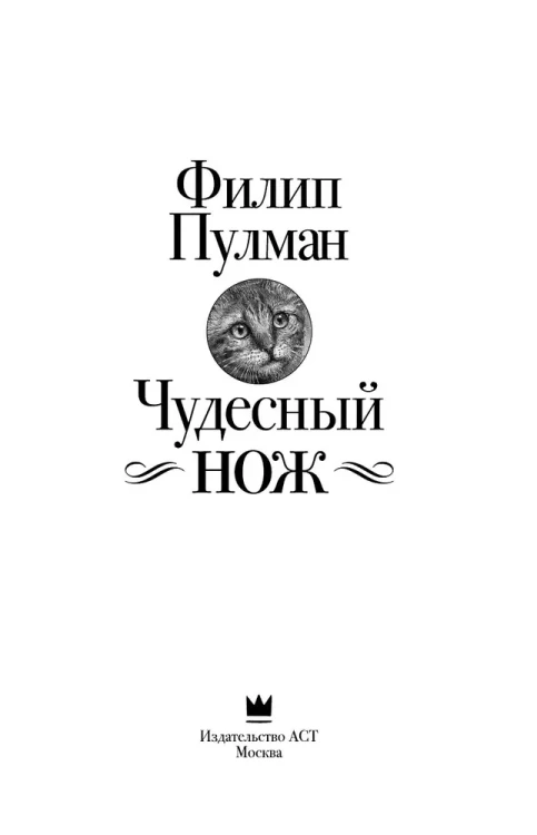 6616762393.jpg