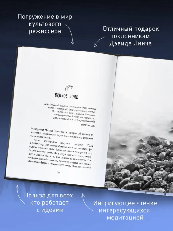 Поймать большую рыбу. Дэвид Линч