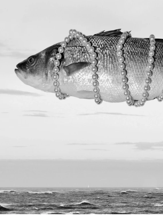 Поймать большую рыбу. Дэвид Линч