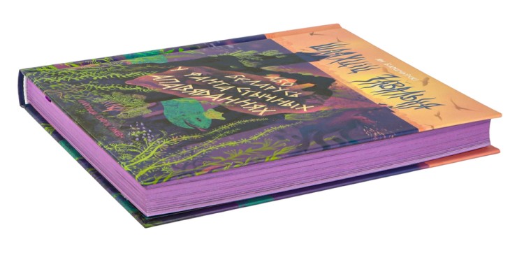 Шляхціц Завальня, або Беларусь у фантастычных апавяданнях (каляровы абрэз)