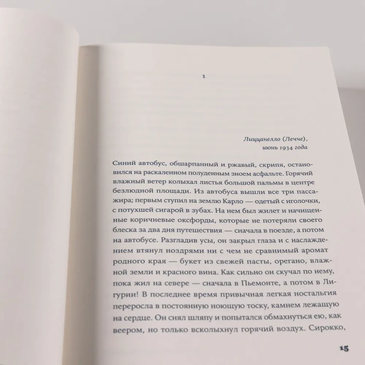 Почтальонша - Джанноне Франческа