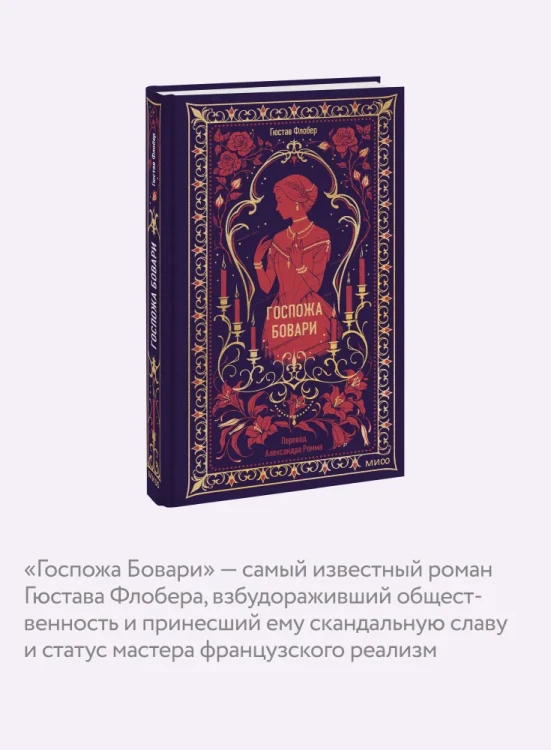 Гюстав Флобер - Госпожа Бовари