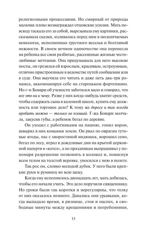 Гюстав Флобер - Госпожа Бовари