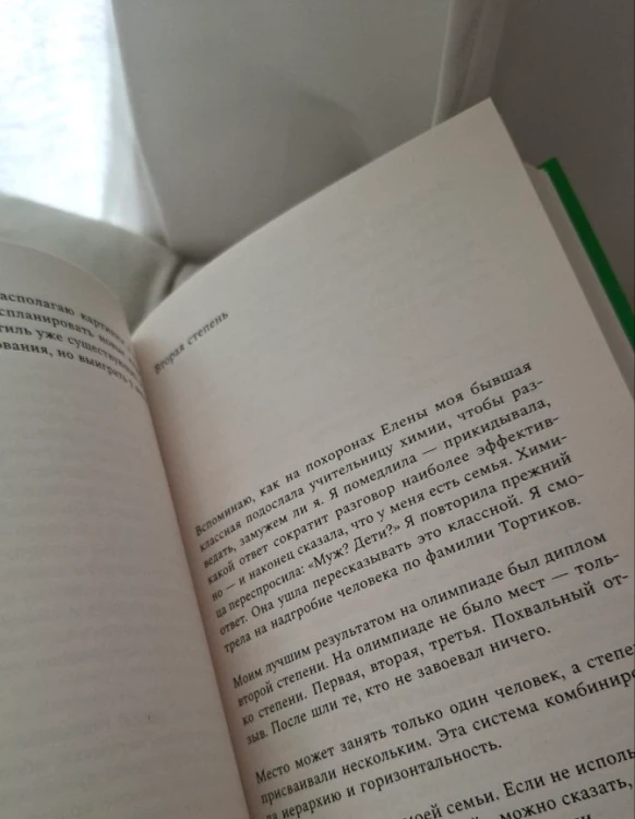 Снежные дни сквозь года - Дарья Трайден