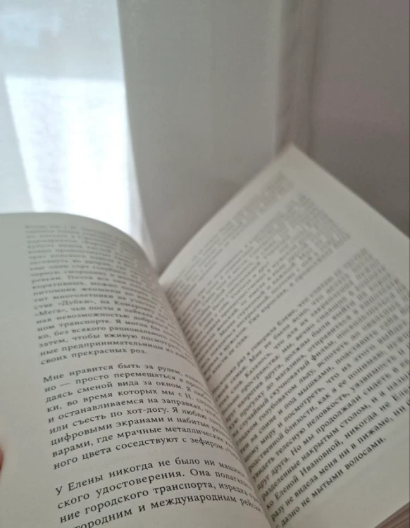 Снежные дни сквозь года - Дарья Трайден