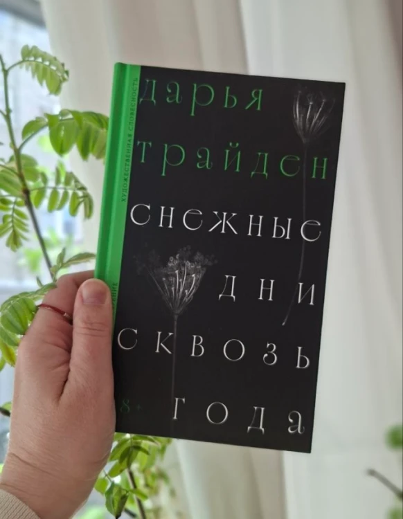 Снежные дни сквозь года - Дарья Трайден