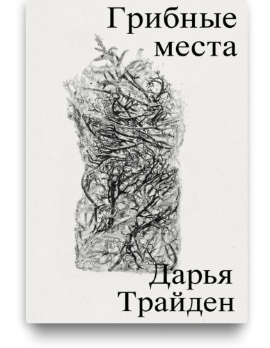 Грибные места. Дарья Трайден