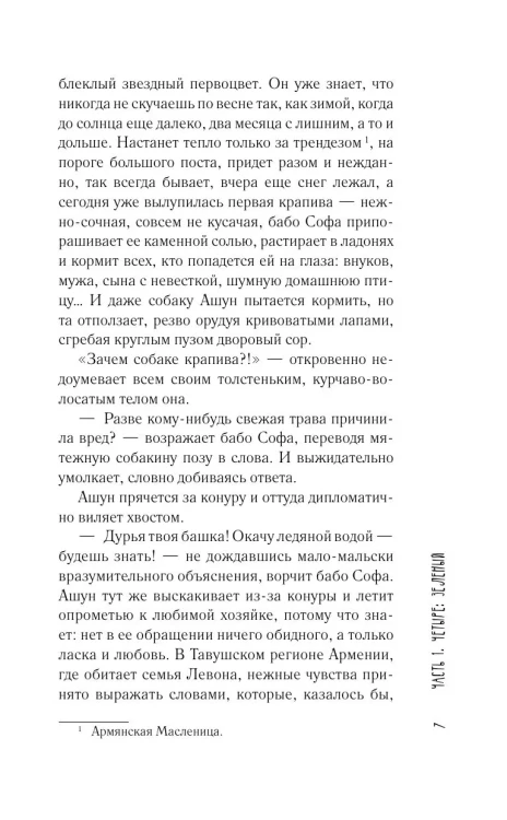 Молчание цвета - Наринэ Абгарян