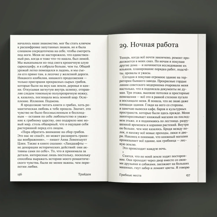 Грибные места. Дарья Трайден
