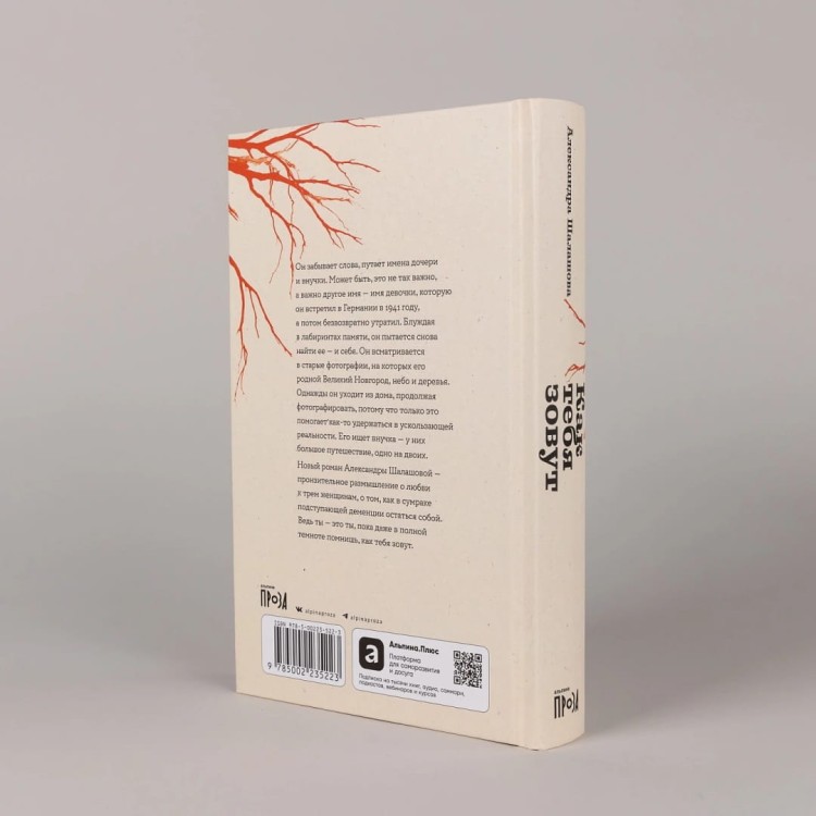 Как тебя зовут. Александра Шалашова