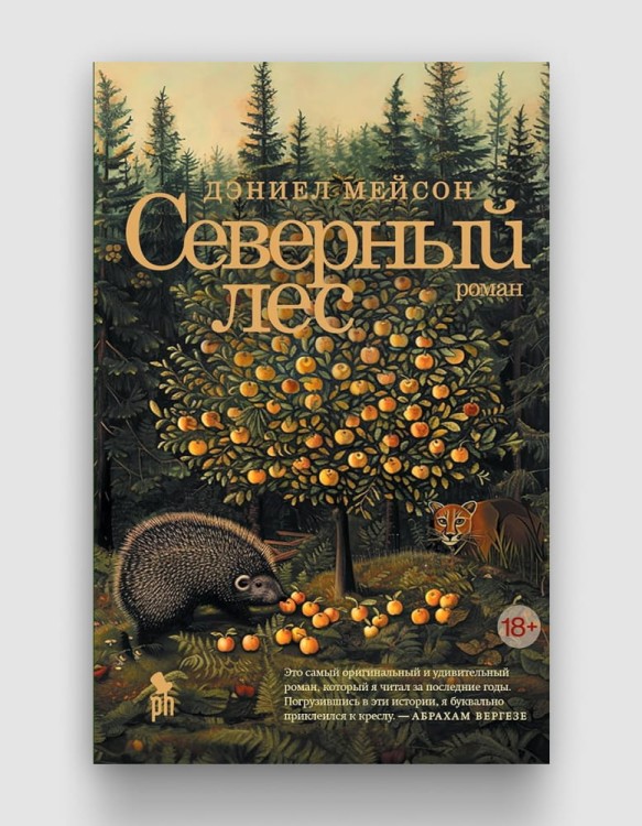 северный лес.jpg