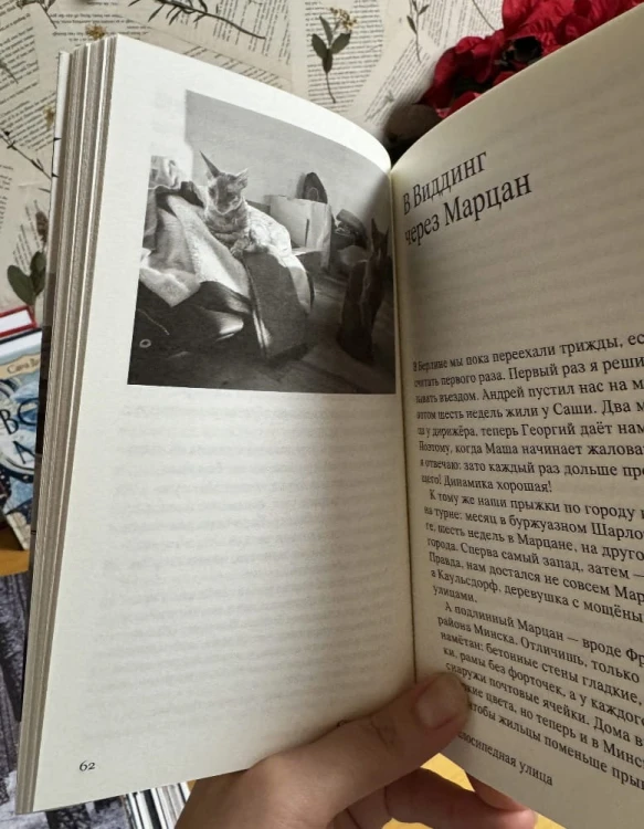Велосипедная улица, 51 - Коля Сулима