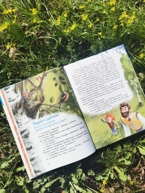 Птицы. Детская энциклопедия (Чевостик) | Качур Елена Александровна, Манушкина Наталья 3.webp