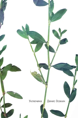 Уключина | Осокин Денис .webp