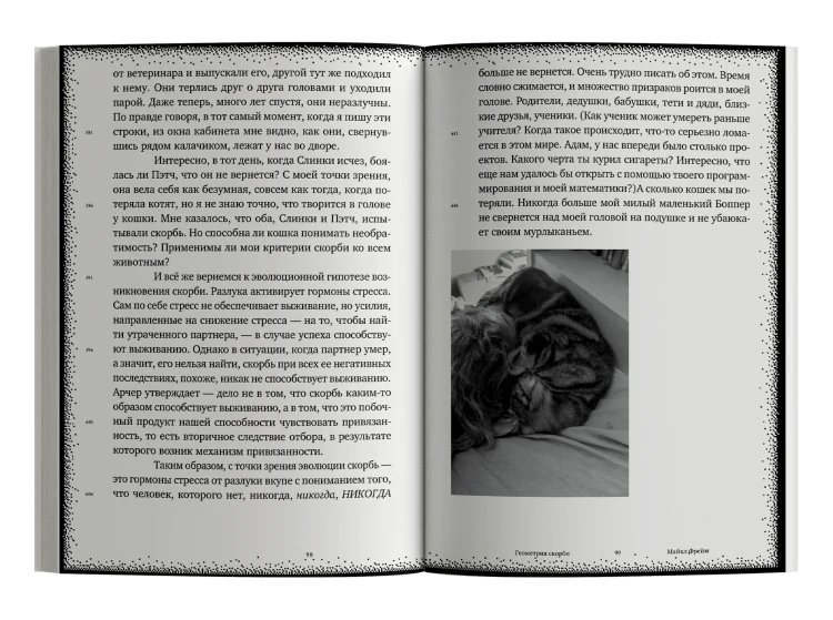 Геометрия скорби - Майкл Фрейм