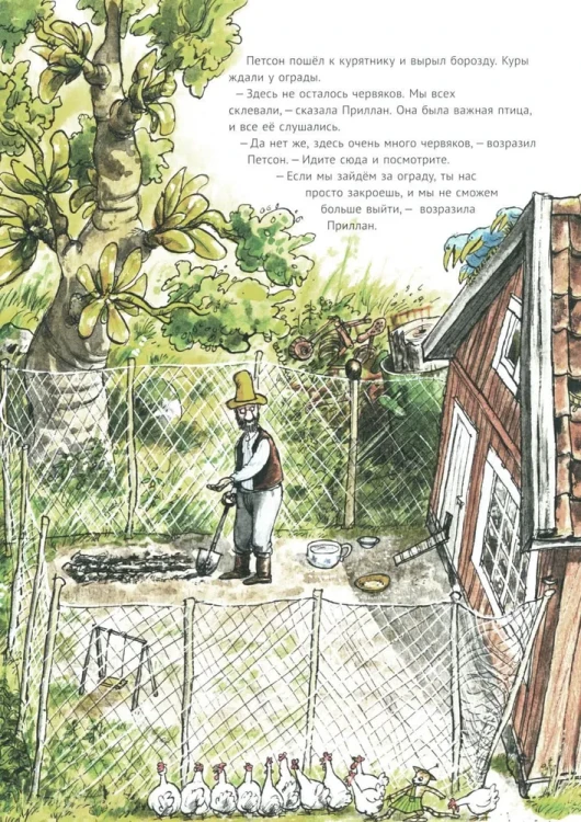 Петсон и Финдус. Переполох в огороде | Нурдквист Свен. Книжный Букинистка .webp