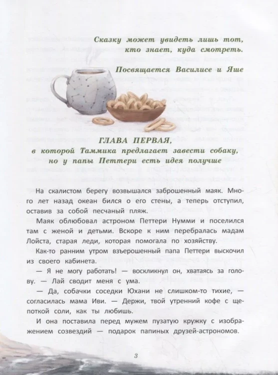 Майсси из цветочного домика. Книжный Букинистка