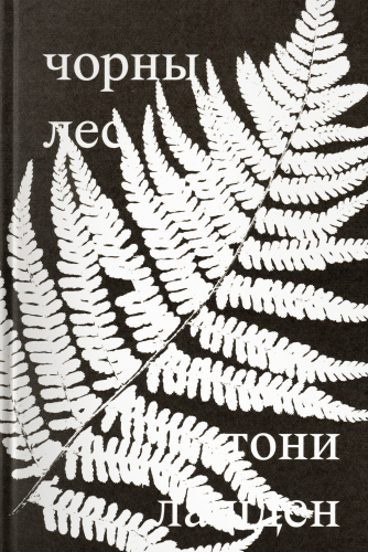 чорны лес лашден.png