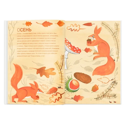 Сад круглый год. Что такое пермакультура | Иоанна Жезак, Нелли Пон1.webp