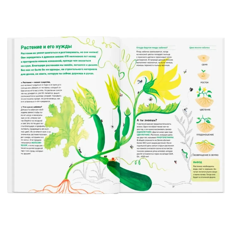 Сад круглый год. Что такое пермакультура | Иоанна Жезак, Нелли Пон4.webp