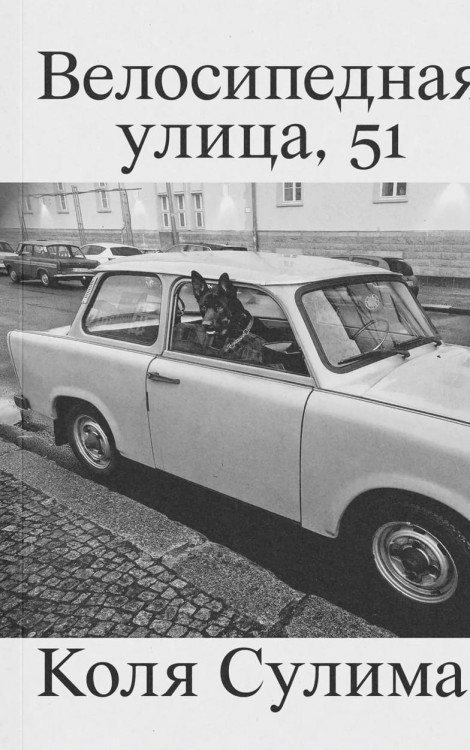 велосипедная_улица_51.jpg