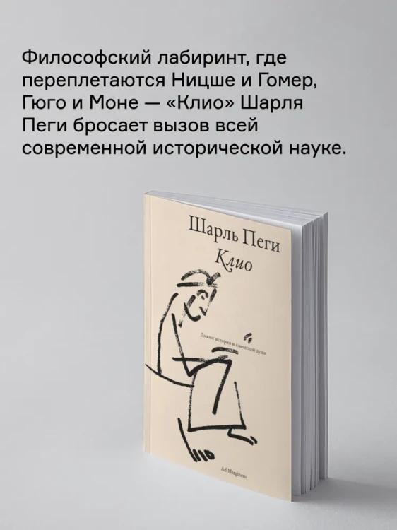 8019707557.jpg