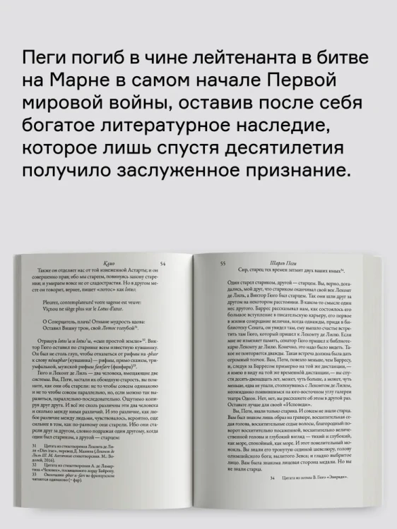 8019707672.jpg