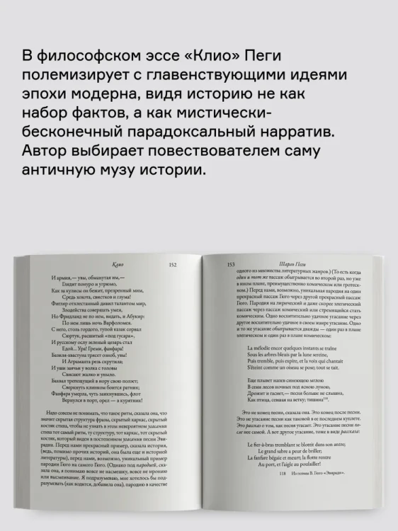 8019707571.jpg
