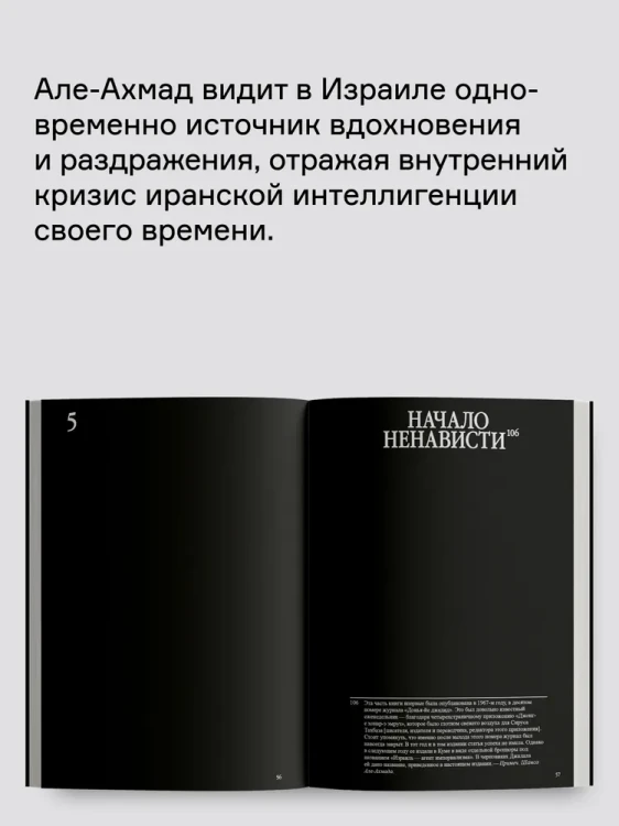 8117844253.jpg