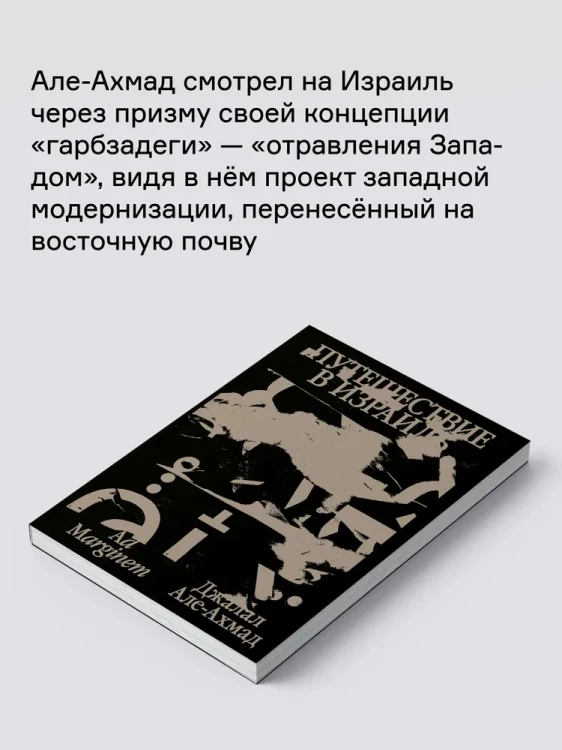 8117844256.jpg